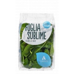 Altamura Foglia Sublime Baby Spinach Leaves 125 gr per pack